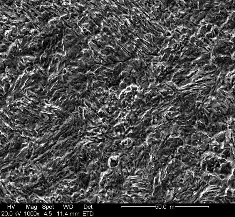 Martensitic Stainless Steel Microstructure