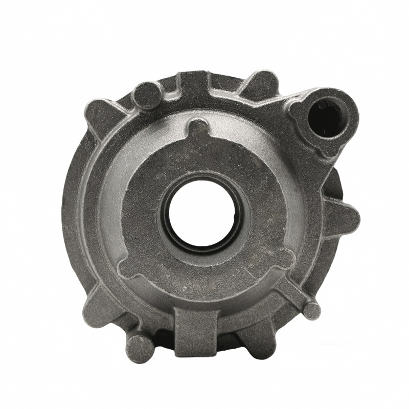 Cast iron bearing cover - as-cast gray iron part